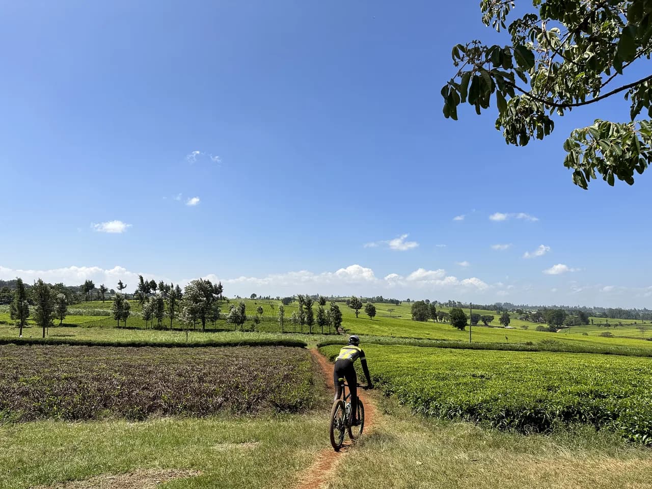 We Are Cyclist-First